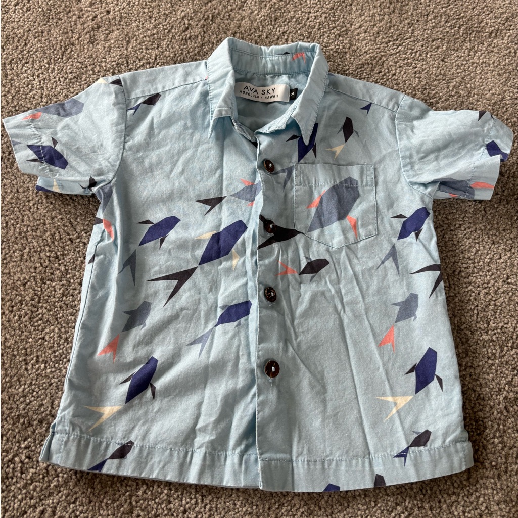 Ava Sky Toddler Shirt